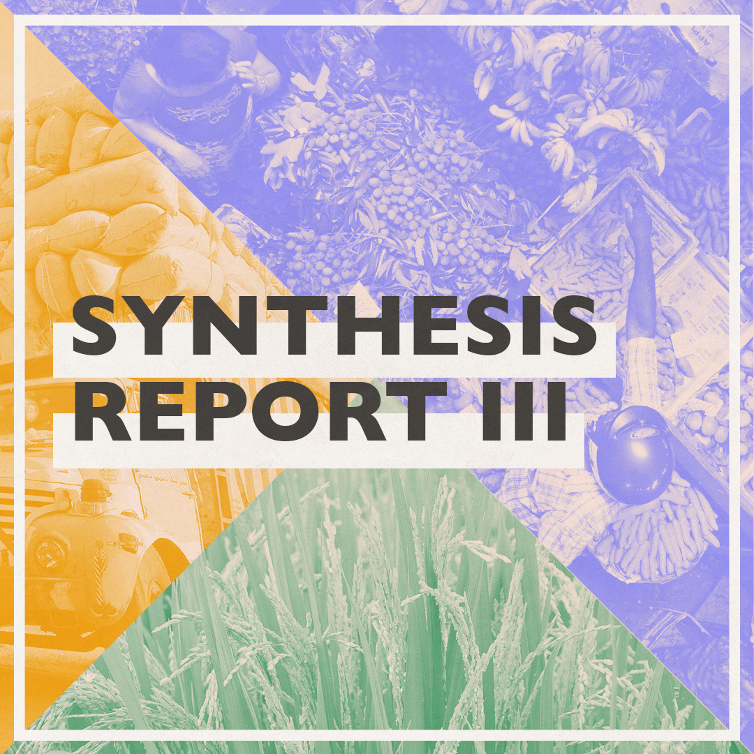 Synthesis Report 3 Social Graphic V1